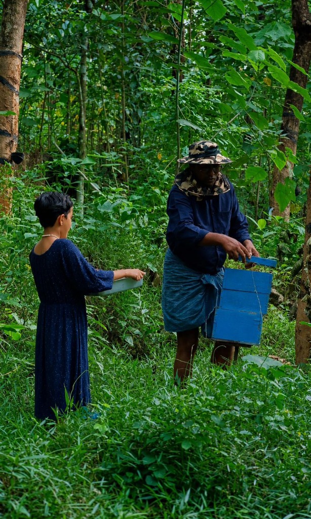 Approaching the Hive